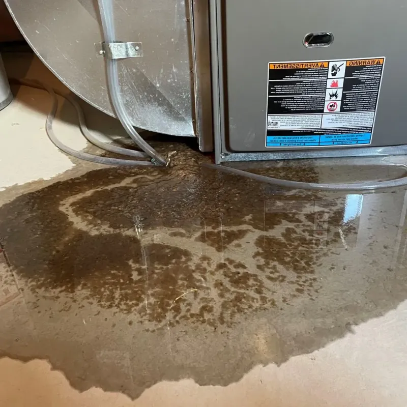Pipe Burst and Leak Restoration in Hartford, ME