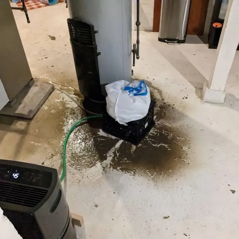 Sewage Backup Cleanup Service in Hartford, ME